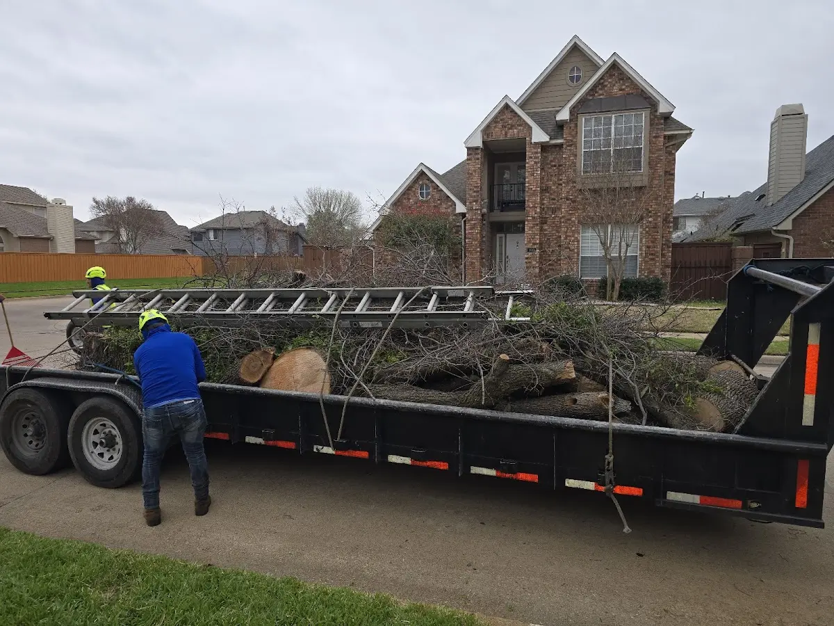Expert Tree Pest Control with proper safety equipment in Sugar City